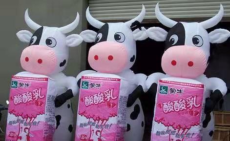 岳阳牛奶厂广告气模